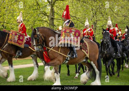 London, Großbritannien. April 2024. Die prächtigen Trommelpferde führen die Band während der jährlichen Inspektion des Household Cavalry Mounted Regiment durch den Generalmajor vom Paradeplatz, was der ultimative Test für die spektakulärste und anspruchsvollste Zeremonialeinheit der britischen Armee ist. Es ist ein Test, den sie bestehen müssen, um an den bevorstehenden staatlichen Zeremonialaufgaben teilzunehmen. Rund 170 Pferde und das Personal des Household Cavalry Mounted Regiments verlassen die Knightsbridge Kaserne und begeben sich zum „Football Pitch“-Bereich im Hyde Park, um sich zu bilden und vom General Officer Commandin inspiziert zu werden Stockfoto