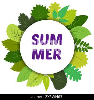 Grüne Sommerblätter unter weißem runden Etikett und Aufschrift Sommer. Vektorkarte mit grünen Blättern auf weißem Hintergrund Stock Vektor
