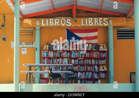 Usa, Porto Rico, San Juan. La Perla. Bibliothek Stockfoto