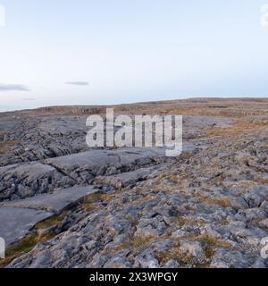 Felsige Karstlandschaft des Burren-Nationalparks im County Clare, Irland Stockfoto