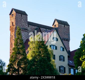 Schild Burg in Berneck in Baden-Württemberg Stockfoto