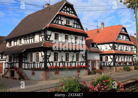 Frankreich, Grand-Est, Bas Rhin (67) Elsass, Hunspach Stockfoto