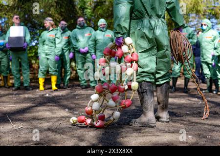 Hattingen, Deutschland. April 2024. Helfer hören dem Vorfallskommandanten während einer Tierseuchenübung zu. In Zusammenarbeit mit anderen Bezirken probt der Landkreis Ennepe-Ruhr, was im Falle eines Ausbruchs der Vogelgrippe zu tun ist. Quelle: Christoph Reichwein/dpa/Alamy Live News Stockfoto