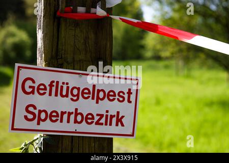 Hattingen, Deutschland. April 2024. Während einer Tierseuchenübung hängt ein Warnzeichen für Vogelgrippe. In Zusammenarbeit mit anderen Bezirken probt der Landkreis Ennepe-Ruhr, was im Falle eines Ausbruchs der Vogelgrippe zu tun ist. Quelle: Christoph Reichwein/dpa/Alamy Live News Stockfoto