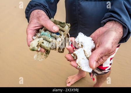 Eine Nahaufnahme der Hände eines älteren Mannes mit Styroporteilen und Hartplastik, die am Mission Beach in Queensland gesammelt wurden, bei einem regelmäßigen Morgenspaziergang Stockfoto