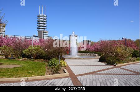 Springbrunnen im blühenden Garten an der Stony Brook University in Stony Brook, New York, im Suffolk County, auf Long Island Stockfoto