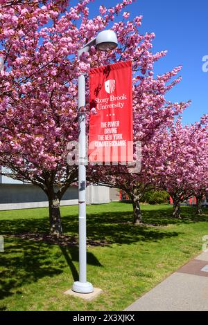 Wunderschöner, heller Frühling an der Stony Brook University in Stony Brook, New York, im Suffolk County, auf Long Island Stockfoto