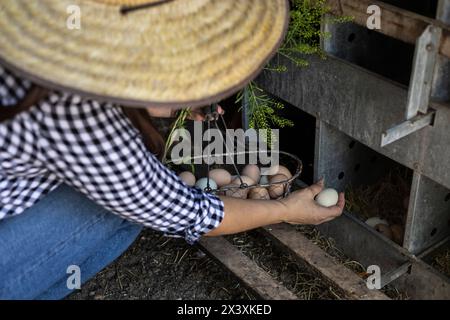 Eine Bauernfrau mit Hut sammelt Hühnereier in einem Korb Stockfoto