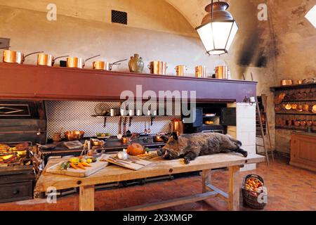 Frankreich. Seine et Marne. Vaux le Vicomte. Schloss Vaux le Vicomte. Die große Küche. Stockfoto