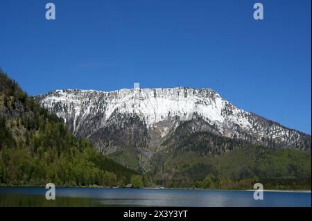 Wanderung rund um den Offensee, nahe Ebensee am Traunsee, im oberösterreichischen Salzkammergut, am 27.04.2024. Das Bild zeigt das verschneite Massiv des Eibenberges nördlich des Offensees 2024 - Wanderung rund um den Offensee, nahe Ebensee am Traunsee, im oberösterreichischen Salzkemmergut, am 27.04.2024. *** Wanderung um den Offensee, bei Ebensee am Traunsee, im oberösterreichischen Salzkammergut, am 27 04 2024 das Bild zeigt das schneebedeckte Massiv des Eibenbergs nördlich der Offensee 2024 Wanderung um den Offensee, bei Ebensee am Traunsee, im oberösterreichischen Salzkemmergut, am 27 04 2 Stockfoto