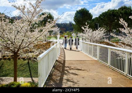 Parque de la Memoria (Park), Riberas de Loiola, Donostia, San Sebastian, Gipuzkoa, Baskenland, Spanien, Europa Stockfoto