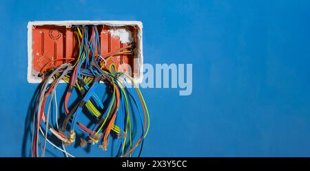 Farbige elektrische Kabel, die während der Renovierung einer Wohnung aus einem offenen Anschlusskasten kommen. Elektrische Drähte, die aus Wellrohreinsätzen kommen Stockfoto