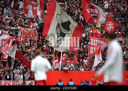 Mainz, Deutschland. April 2024. Fußball 1. Bundesliga 31. Spieltag 1. FSV Mainz 05 - 1. FC Köln am 28.04.2024 in der Mewa Arena in Mainz Koelner Fankurve/Gaesteblock DFL-Vorschriften verbieten jede Verwendung von Fotografien als Bildsequenzen und/oder Quasi-Video. Foto: Revierfoto Credit: ddp Media GmbH/Alamy Live News Stockfoto