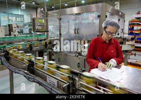 Etikettierung und Verpackung von Gemüse aus Konserven, grüne Bohnen, Konservenindustrie, Agrar- und Lebensmittelindustrie, Logistikzentrum, Grupo Riberebro, Alfaro, La Rioja, Spanien Stockfoto