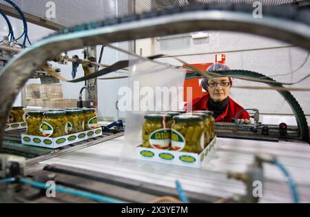 Etikettierung und Verpackung von Gemüse aus Konserven, grüne Bohnen, Konservenindustrie, Agrar- und Lebensmittelindustrie, Logistikzentrum, Grupo Riberebro, Alfaro, La Rioja, Spanien Stockfoto