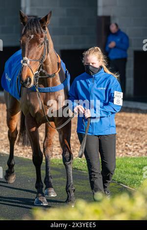 Wincanton Hürdenrennen, Donnerstag, 20. Januar 2022 Stockfoto