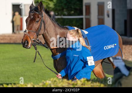 Wincanton Hürdenrennen, Donnerstag, 20. Januar 2022 Stockfoto