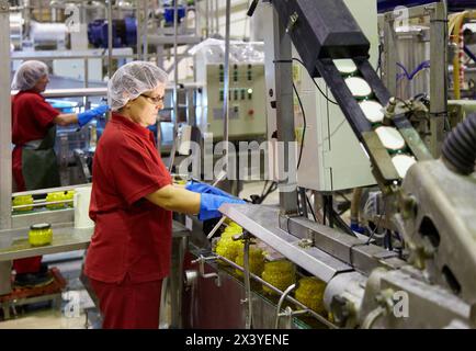 Produktionslinie für eingelegtes Gemüse und Bohnen in Glasflasche, Mais, Mais, Konservenindustrie, Agrar-und Ernährungswirtschaft, Navarra, Spanien Stockfoto