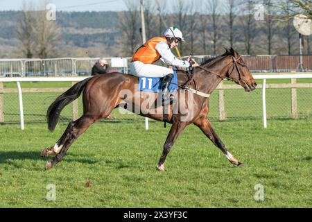 Wincanton Hürdenrennen, Donnerstag, 20. Januar 2022 Stockfoto