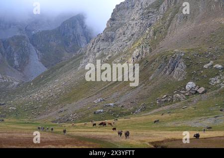 Der Naturpark Western Valleys in den Pyrenäen von Huesca, Spanien Stockfoto