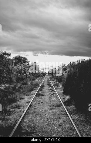 Monochromes Bild einer endlosen Eisenbahnstrecke, die sich unter einem stimmungsvollen Himmel in die Ferne zieht und ein Gefühl von Reise und Einsamkeit einfängt Stockfoto