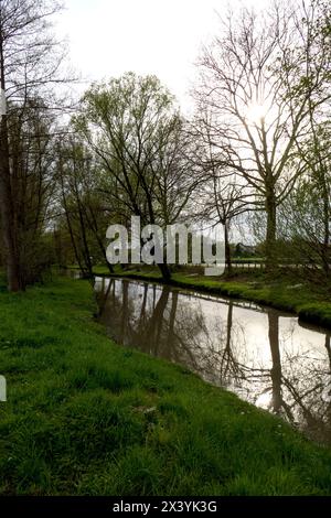 Der Sandbach bei Weitenung, Bühl Baden schlängelt sich durch die Aue Stockfoto