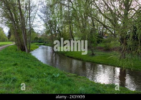 Der Sandbach bei Weitenung, Bühl Baden schlängelt sich durch die Aue Stockfoto