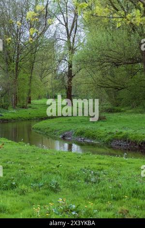 Der Sandbach bei Weitenung, Bühl Baden schlängelt sich durch die Aue Stockfoto