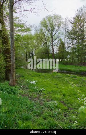 Der Sandbach bei Weitenung, Bühl Baden schlängelt sich durch die Aue Stockfoto