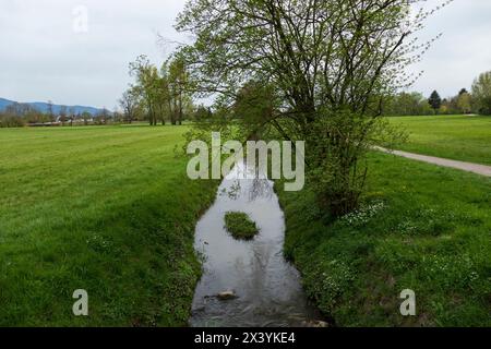 Der Sandbach bei Weitenung, Bühl Baden schlängelt sich durch die Aue Stockfoto