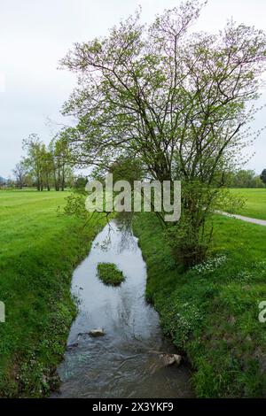 Der Sandbach bei Weitenung, Bühl Baden schlängelt sich durch die Aue Stockfoto