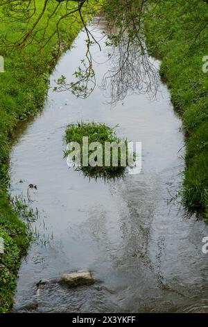 Der Sandbach bei Weitenung, Bühl Baden schlängelt sich durch die Aue Stockfoto