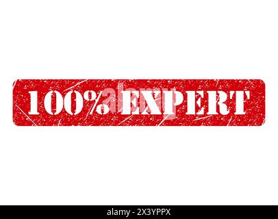 Experte 100% Stempelsymbol, Etikett Aufkleber Zeichen Taste, Text Banner Vektor Illustration. Stock Vektor