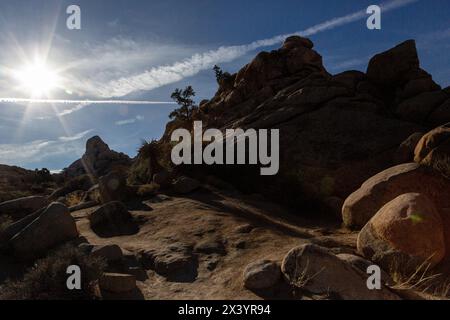 Sonnenstrahlen über Wüstenfelsen im Joshua Tree Park Stockfoto