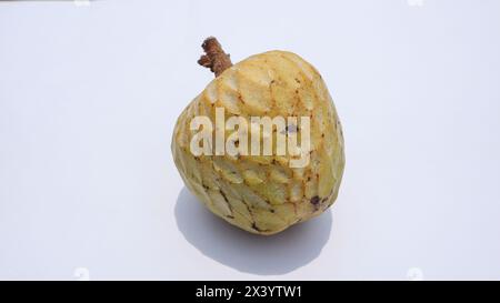 Ramphal, auch bekannt als Wild Sweetsop, annona reticulata, Widder Falwild Pustard Apfel auf weißem Hintergrund Stockfoto