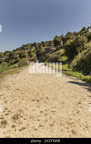 Eine unbefestigte Straße mitten auf dem Feld mit niedrigen Büschen und kargem Gras Stockfoto