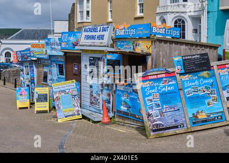 Bootsausflüge in Tenby Harbour, Tenby, Pembrokeshire, Wales Stockfoto