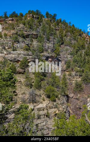 Sinagua Cliff. Klippenhäuser sind mitten auf dem Hügel. Walnut Canyon National Monument, Arizona, USA Stockfoto