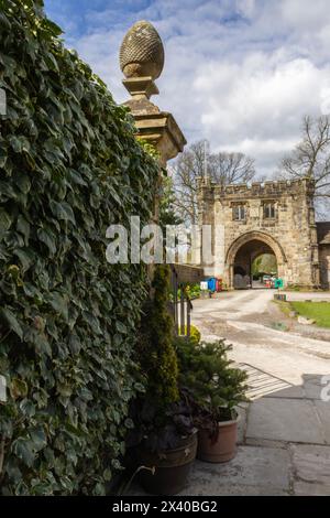 Wall of Ivy in Whalley Abbey in Whalley, Lancashire, England Stockfoto