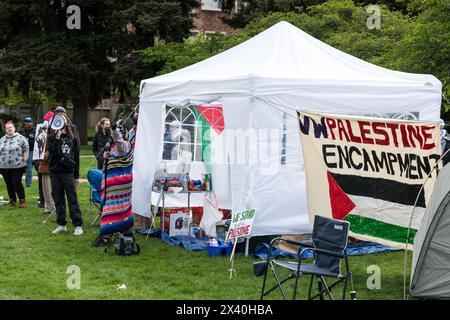 Seattle, USA. April 2024. Pro-Palestine-Demonstranten kommen um 8:00 Uhr auf dem Roten Platz auf dem UW-Campus an, um den Protest des UW-Palästinensischen Lagers zu feiern. Studentenaktivisten haben sich auf dem College-Campus im ganzen Land versammelt und Zelte von Küste zu Küste errichtet, die sich weigern, den Waffenstillstand zu verhängen. Die ersten Proteste in einem Lager, die in New York City entstanden sind, sind der zweite Protest in Washington, der nach einem ähnlichen Ereignis in Olympia auftaucht. Die UW hat vor der Ankunft der Gruppen keine Campingschilder angebracht, da sie bis 11:00 Uhr nicht umgezogen waren, um den Code durchzusetzen. Quelle: James Anderson/Alamy Live News Stockfoto