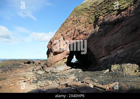 Sea Cave in Red Sandstone Conglomerate Rock, Aberdour, Fife Coast, Schottland, Großbritannien Stockfoto