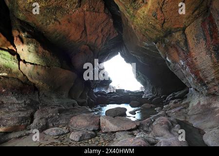 Sea Cave in Red Sandstone Conglomerate Rock, Aberdour, Fife Coast, Schottland, Großbritannien Stockfoto