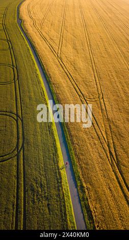 Man radelt auf einer kleinen Straße durch Felder in der Nähe von Duxford Village; Cambridgeshire, England, Großbritannien Stockfoto