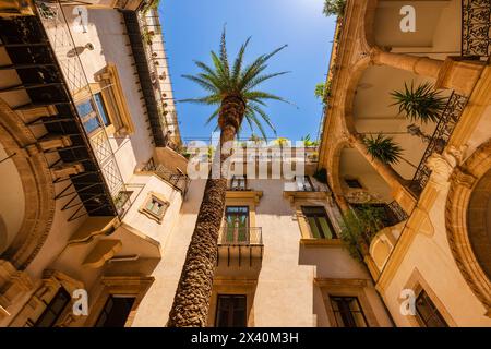 Innenhof eines alten Gebäudes mit einer großen Palme in der Altstadt von Palermo in Sizilien, Italien; Sizilien, Italien Stockfoto