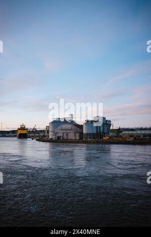 Rixgrain, Drying ltd, Montrose Quay, Schottland. Stockfoto