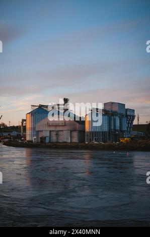 Rixgrain, Drying ltd, Montrose Quay, Schottland. Stockfoto