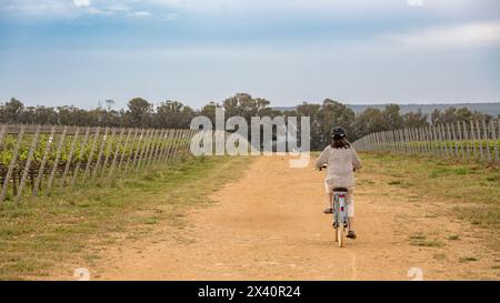 Blick von hinten auf eine Frau, die auf einer unbefestigten Straße durch die Weinberge fährt, Villa Marina; Alghero, Sassari, Italien Stockfoto