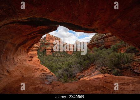 Sedona liegt im Inneren des Kaparrals, halbwüstenartigen Graslands, dem Great Basin Conifer Forest Biomen im Norden Arizonas. Dies ist ein Beispiel für ... Stockfoto