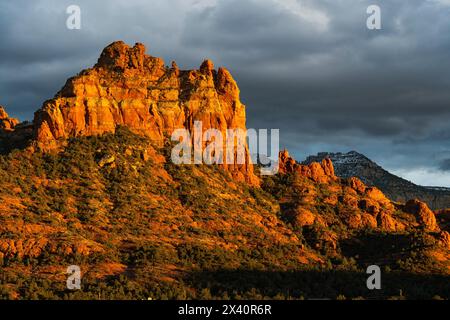 Sedona liegt im Inneren des Kaparrals, halbwüstenartigen Graslands, dem Great Basin Conifer Forest Biomen im Norden Arizonas. Dies ist ein Beispiel für ... Stockfoto