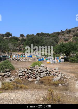 Viele Bienenstöcke auf einem Hügel auf dem Land, Tilos Insel, Dodekanese, Griechenland, Europa Stockfoto